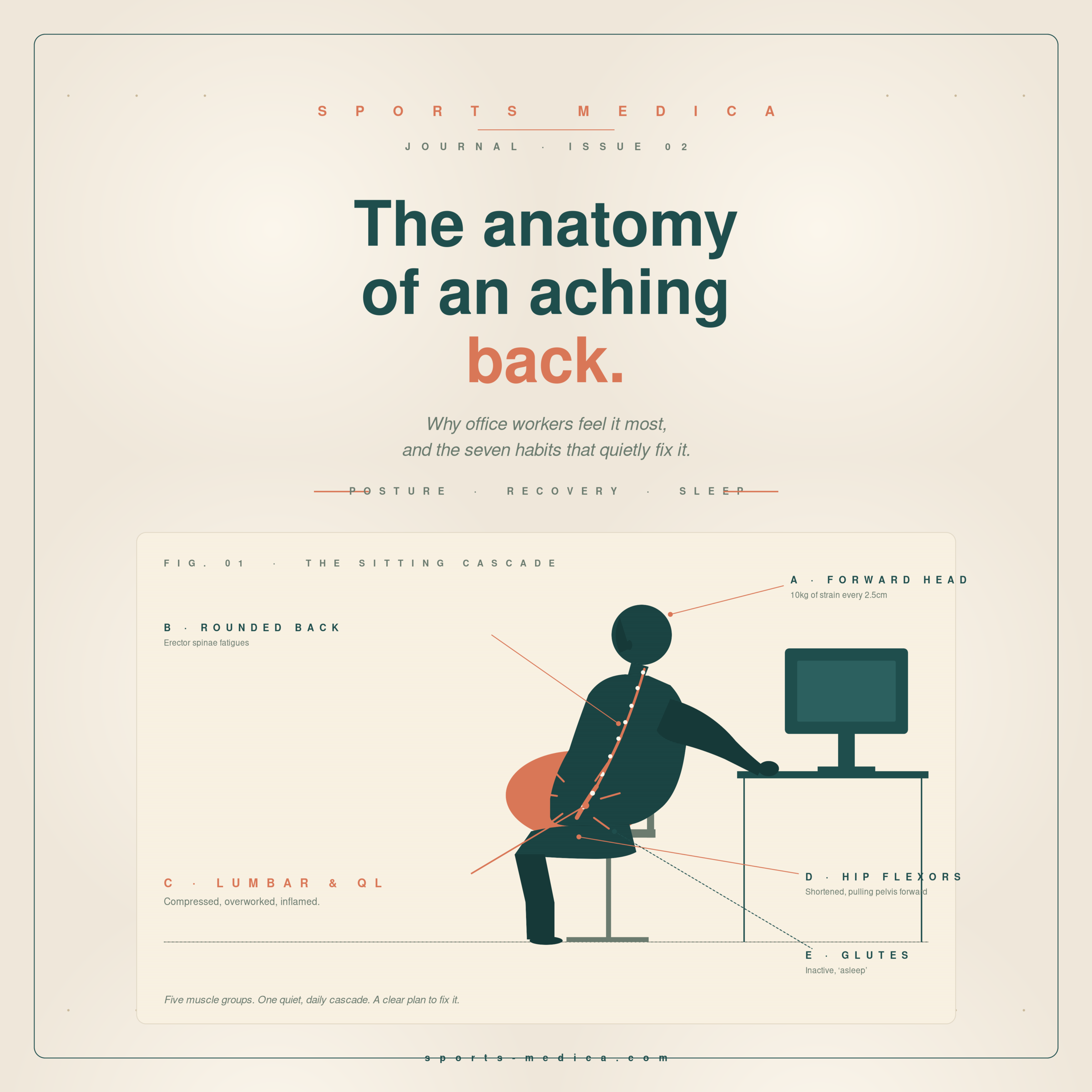 The five muscles your office chair is quietly breaking